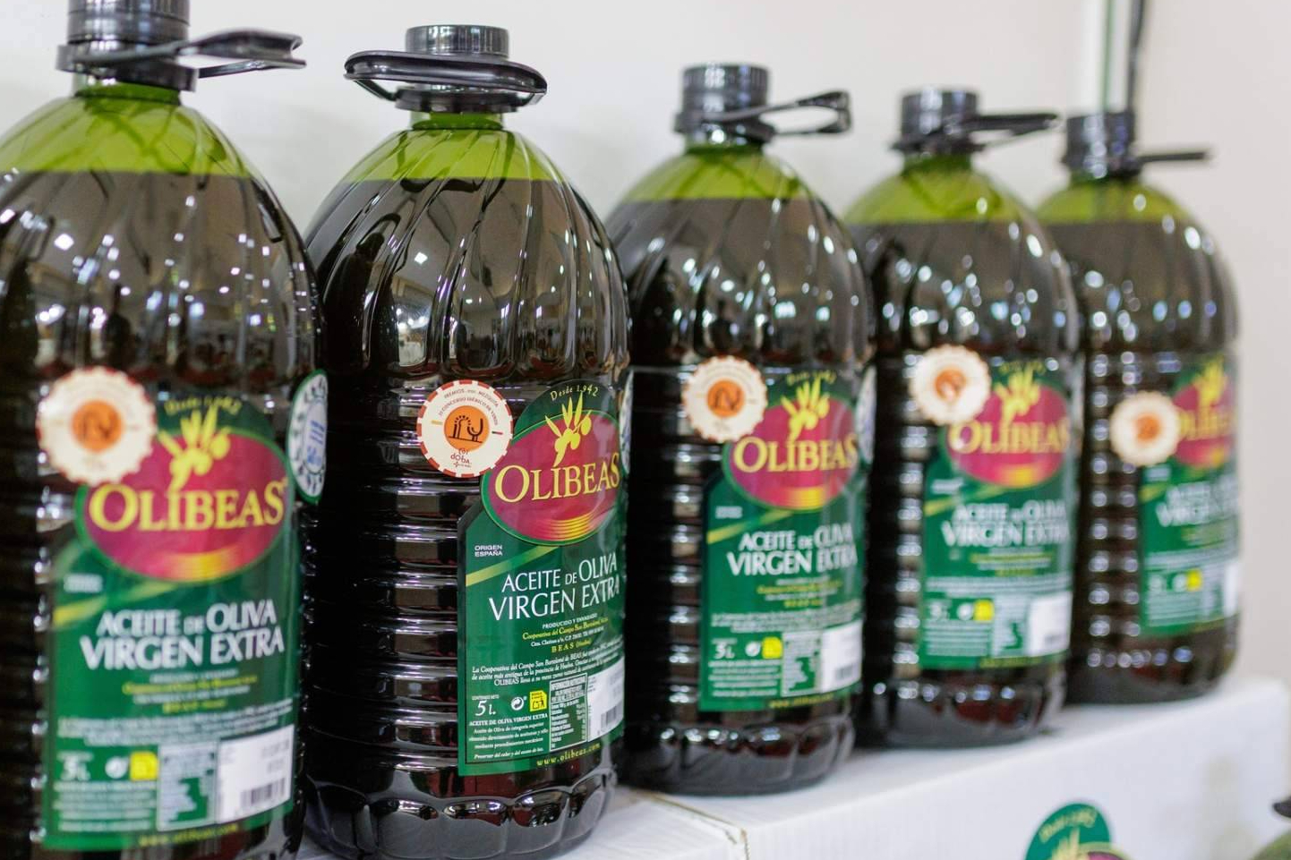 Nueva cosecha de AOVE; qué tener en cuenta antes de comprar aceite de oliva